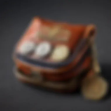 Chic compact coin holder