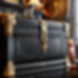 Luxurious leather chest in elegant room setting