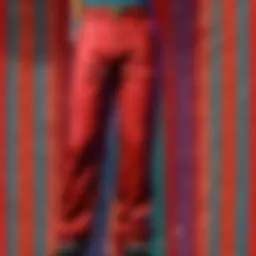 Elegant Earthbound Pants Fabric Weave