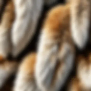 Sustainable faux fur production methods in a modern factory