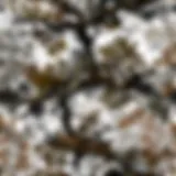 Close-up of advanced camouflage patterns