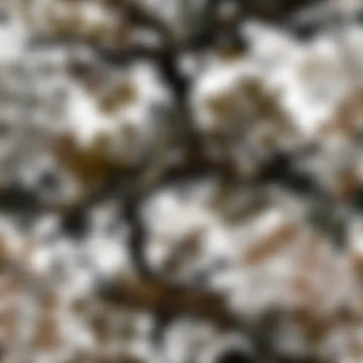 Close-up of advanced camouflage patterns