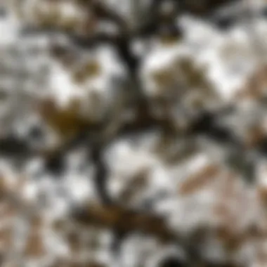 Advanced Camouflage Patterns Close-up of advanced camouflage patterns