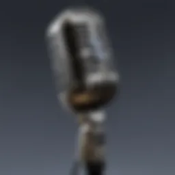 Close-up of the Wow microphone showcasing its sleek design