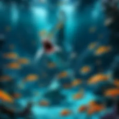 Feeding Frenzy in the Aquatic Realm Feeding frenzy in the aquatic realm