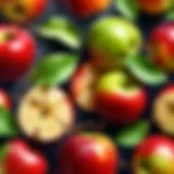 Fresh Apple Varieties