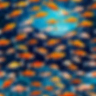 Mesmerizing patterns of fish interactions