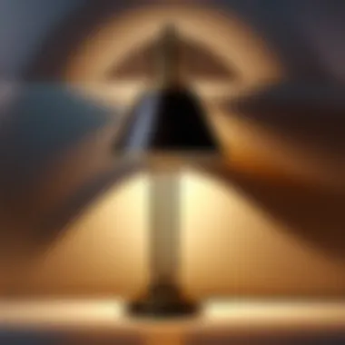 Minimalist Lamp Casting Soft Glow