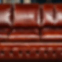 Luxurious leather sofa