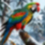 A vibrant macaw perched on a branch, showcasing its colorful feathers